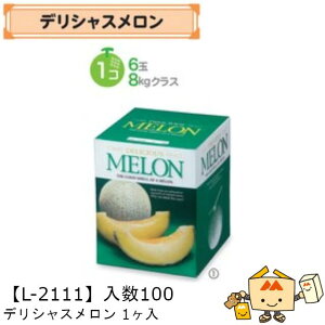 ylszt[c p fVX1 iL-2111 P[X̔ 100 TCY150×150×195mm  }jpbP[W }j  Г02000701