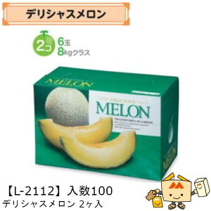 ylszt[c p fVX2 iL-2112 P[X̔ 100 TCY290×145×195mm  }jpbP[W }j  Г02000701