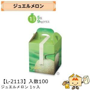 ylszt[c p WG1 iL-2113 P[X̔ 100 TCY160×160×195mm  }jpbP[W }j  _{[ Г02000701