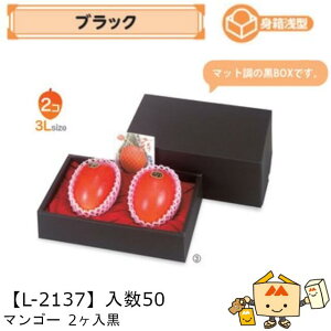 ylszt[c }S[p }S[2 iL-2137 P[X̔ 50 TCY265×165×120(70)mm  }jpbP[W }j  _{[ Г02000701