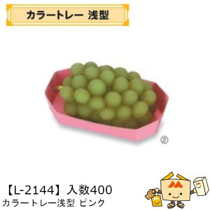 ylszt[c g[ J[g[^sN iL-2144 P[X̔ 400 TCY190×105×35mm  }jpbP[W }j  _{[    ` ݂ I