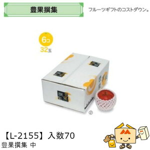 ylszt[c zMtgBOX LʐW  iL-2155 P[X̔ 70 TCY330×220×115mm  }jpbP[W }j  _{[ }S[ ݂ IW `  