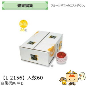 ylszt[c zMtgBOX LʐW B iL-2156 P[X̔ 60 TCY365×260×115mm  }jpbP[W }j  _{[ }S[ ݂ IW `  