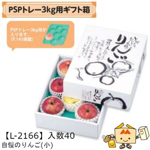 ylszt[c 񂲗p PSPg[3kgpMtg ̂() iL-2166 P[X̔ 40 TCY268×368×96mm  }jpbP[W }j S ь Abv  _{