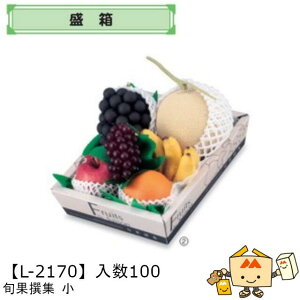 ylszt[c V{ʐW  iL-2170 P[X̔ 100 TCY220×285×70mm  }jpbP[W }j  _{[ t[clߍ킹  ь  Ԃǂ  