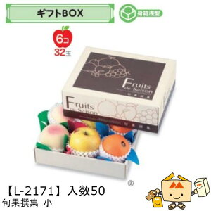 ylszt[c MtgBOX {ʐW  iL-2171 P[X̔ 50 TCY270×210×105(60)mm  }jpbP[W }j  _{[ t[clߍ킹  ь  I