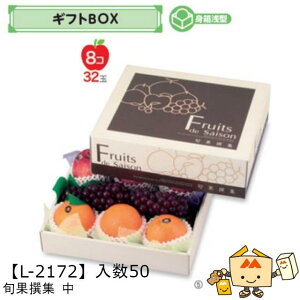 ylszt[c MtgBOX {ʐW  iL-2172 P[X̔ 50 TCY310×260×105(60)mm  }jpbP[W }j  _{[ t[clߍ킹  ь  I