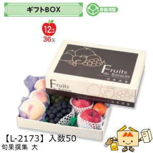 ylszt[c MtgBOX {ʐW  iL-2173 P[X̔ 50 TCY380×270×105(60)mm  }jpbP[W }j  _{[ t[clߍ킹  ь  I