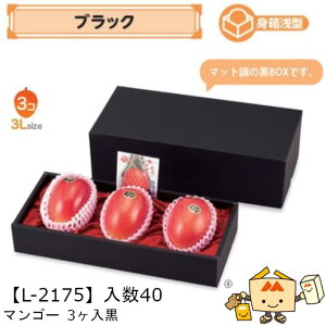 ylszt[c }S[p }S[3 iL-2175 P[X̔ 40 TCY390×165×120(70)mm  }jpbP[W }j  _{[ Г02000701