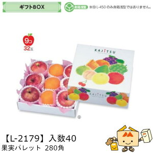 ylszt[c MtgBOX ʎpbg 280p iL-2179 P[X̔ 40 TCY280×280×110(60)mm  }jpbP[W }j  _{[ t[clߍ킹  ь 