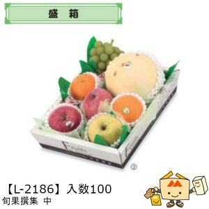 ylszt[c V{ʐW  iL-2186 P[X̔ 100 TCY245×320×70mm  }jpbP[W }j  _{[ t[clߍ킹  ь  Ԃǂ  