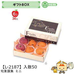 ylszt[c MtgBOX {ʐW ~j iL-2187 P[X̔ 50 TCY270×180×95(60)mm  }jpbP[W }j  _{[ t[clߍ킹  ь  I