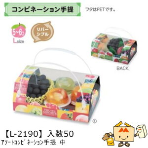 ylszt[c g锠 A\[gRrl[V  iL-2190 P[X̔ 50 TCY280×180×105mm  }jpbP[W }j  _{[ [[ Ԃǂ 