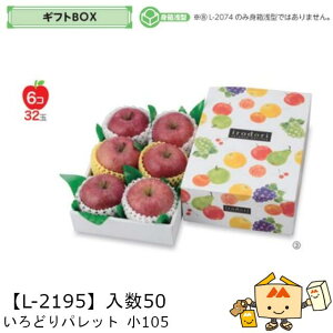 ylszt[c MtgBOX ǂpbg 105 iL-2195 P[X̔ 50 TCY200×295×105(60)mm  }jpbP[W }j  _{[ t[clߍ킹  