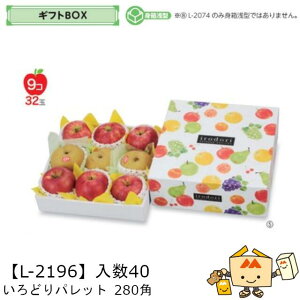 ylszt[c MtgBOX ǂpbg 280p iL-2196 P[X̔ 40 TCY280×280×110(60)mm  }jpbP[W }j  _{[ t[clߍ킹  