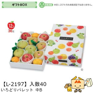 ylszt[c MtgBOX ǂpbg B iL-2197 P[X̔ 40 TCY270×365×110(60)mm  }jpbP[W }j  _{[ t[clߍ킹  ь