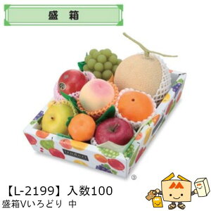 ylszt[c ǂpbg Vǂ  iL-2199 P[X̔ 100 TCY245×320×70mm  }jpbP[W }j  _{[ t[clߍ킹   