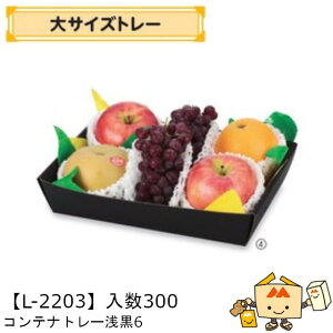 ylszt[c g[ TCY Reig[6 iL-2203 P[X̔ 300 TCY275×200×55mm  }jpbP[W }j  _{[    ` ݂ 