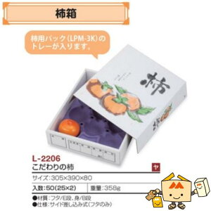 ylszt[c p ` ̊` iL-2206 P[X̔ 50 TCY305×390×80mm  }jpbP[W }j `  _{[ Г02000701