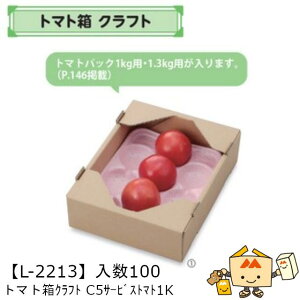 ylszt[c Rei g}g Ntg C5T[rXg}g1K iL-2213 P[X̔ 100 TCY195×250×73mm  }jpbP[W }j  _{[ g}g Г02000701