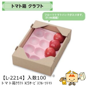 ylszt[c Rei g}g Ntg K5T[rXt[cg}g iL-2214 P[X̔ 100 TCY210×295×73mm  }jpbP[W }j  _{[ g}g Г