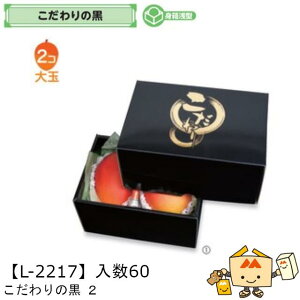 ylszt[c ̍ 2 iL-2217 P[X̔ 60 TCY220×150×120mm  }jpbP[W }j  _{[ }S[  2 Г0200070101690