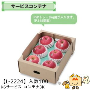 ylszt[c T[rXRei K6T[rX Rei3K iL-2224 P[X̔ 100 TCY270×365×115mm  }jpbP[W }j  _{[ }S[ IW ` 