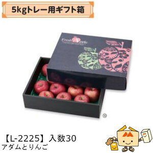 ylszt[c 񂲗p 5kgg[pMtg A_Ƃ iL-2225 P[X̔ 30 TCY345×435×115mm  }jpbP[W }j S ь Abv  _{[