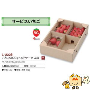 ylszt[c Rei 300g×4PT[rX iL-2226 P[X̔ 80 TCY235×335×80mm  }jpbP[W }j  _{[ }S[ IW `   
