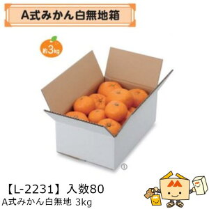 ylszt[c kp  A݂񔒖n3kg iL-2231 P[X̔ 80 TCY315×202×120mm  }jpbP[W }j ݂ IW  _{[ Г0200070102600