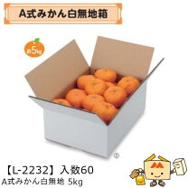 楽天市場】5kg ダンボールの通販