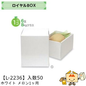 ylszt[c CBOX zCg 1 iL-2236 P[X̔ 50 TCY155×220×150mm  }jpbP[W }j  _{[  XCJ Z Mtg Г02