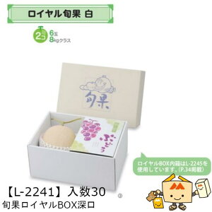 ylszt[c {ʃCBOX [ iL-2241 P[X̔ 30 TCY325×225×150mm  }jpbP[W }j  _{[ t[clߍ킹  ь  Ԃǂ 