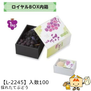 ylszt[c MtgBOX CBOX ̂ꂽĂԂǂ iL-2245 P[X̔ 100 TCY149×210×90mm  }jpbP[W }j  _{[ }S[ Ԃǂ  }