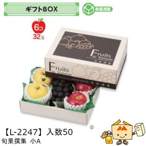 ylszt[c MtgBOX {ʐW A iL-2247 P[X̔ 50 TCY280×210×105(60)mm  }jpbP[W }j  _{[ t[clߍ킹  ь  I