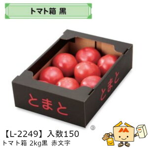 ylszt[c Rei g}g 2kg ԕ iL-2249 P[X̔ 150 TCY200×294×82mm  }jpbP[W }j  _{[ g}g Г0200070102532