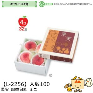 ylszt[c MtgBOXp ʎlG{ ~j iL-2256 P[X̔ 100 TCY195×195×90mm  }jpbP[W }j  _{[ t[clߍ킹  ь  