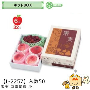 ylszt[c MtgBOX ʎlG{  iL-2257 P[X̔ 50 TCY205×278×105(60)mm  }jpbP[W }j  _{[ t[clߍ킹  ь  