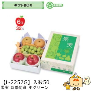 ylszt[c MtgBOX ʎlG{ O[ iL-2257G P[X̔ 50 TCY205×278×105(60)mm  }jpbP[W }j  _{[ t[clߍ킹  