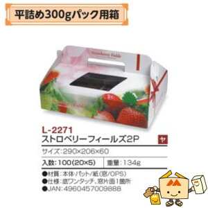 ylszt[c p l300gpbNp Xgx[tB[Y 2P iL-2271 P[X̔ 100 TCY290×206×60mm  }jpbP[W }j  Xgx[ 