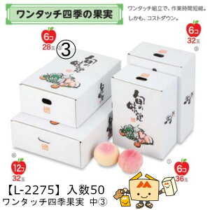 ylszt[c zMtgBOX ^b`lGʎ  iL-2275 P[X̔ 50 TCY220×325×110mm  }jpbP[W }j  _{[ }S[ ݂ IW ` 
