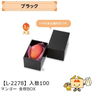 ylszt[c }S[p }S[BOX iL-2278 P[X̔ 100 TCY108×165×100mm  }jpbP[W }j  _{[ Г02000701