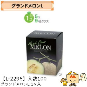 ylszt[c p OhL1 iL-2296 P[X̔ 100 TCY160×160×200mm  }jpbP[W }j  _{[ Г02000701