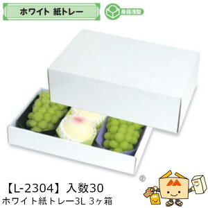 ylszt[c zCgg[3L 3 iL-2304 P[X̔ 30 TCY380×230×130(60)mm  }jpbP[W }j  _{[ Г02000701