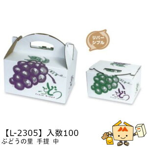 ylszt[c Ԃǂp Ԃǂ̗ iL-2305 P[X̔ 100 TCY260×190×150(240)mm  }jpbP[W }j uhE   _{[ Г0200070102521