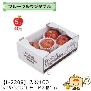 ylszt[c Rei t[c&xW^u T[rX() iL-2308 P[X̔ 100 TCY175×250×95mm  }jpbP[W }j  _{[ `   ܂