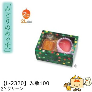 ylszt[c g锠 ݂ǂ̂߂ 2PO[ iL-2320 P[X̔ 100 TCY215×145×110mm  }jpbP[W }j  _{[ [[ Ԃǂ }XJ