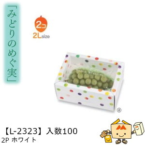 ylszt[c g锠 ݂ǂ̂߂ 2PzCg iL-2323 P[X̔ 100 TCY215×145×110mm  }jpbP[W }j  _{[ [[ Ԃǂ }XJ