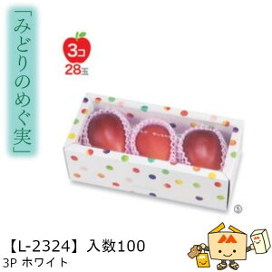 ylszt[c g锠 ݂ǂ̂߂ 3PzCg iL-2324 P[X̔ 100 TCY315×125×110mm  }jpbP[W }j  _{[ [[ Ԃǂ }XJ