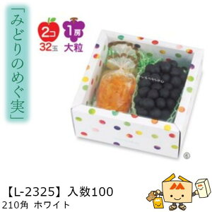 ylszt[c g锠 ݂ǂ̂߂ 210pzCg iL-2325 P[X̔ 100 TCY215×210×110mm  }jpbP[W }j  _{[ [[ Ԃǂ }X